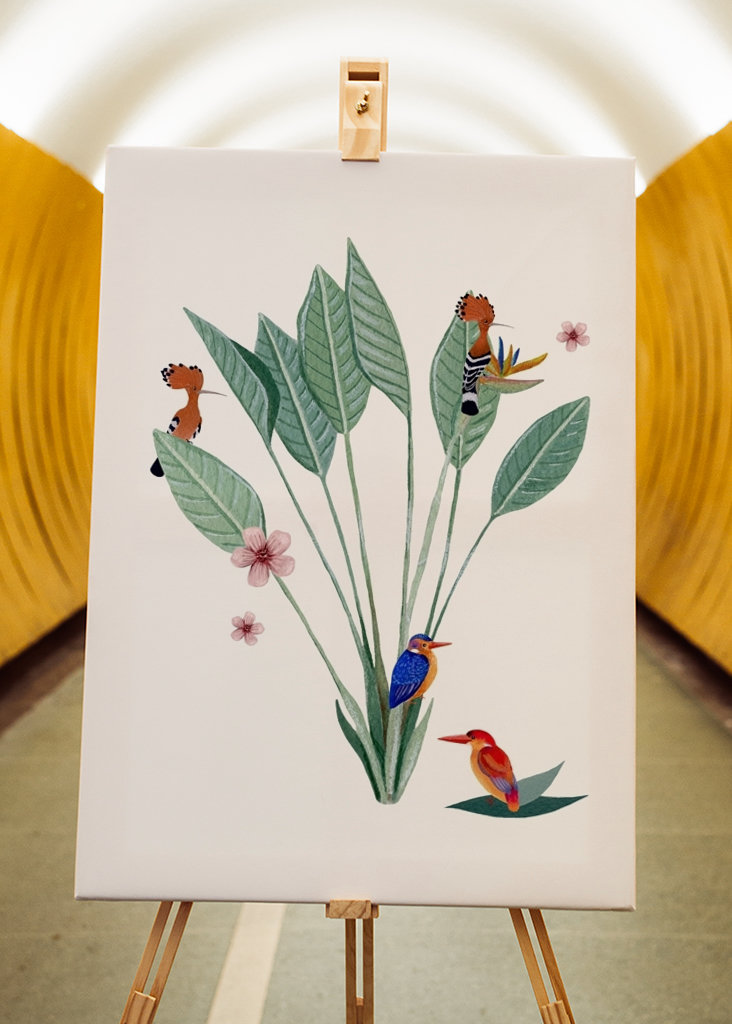 Jungle sjov af fugle