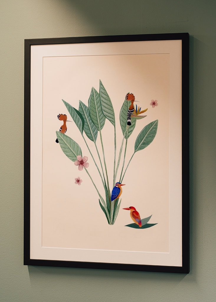 Jungle sjov af fugle