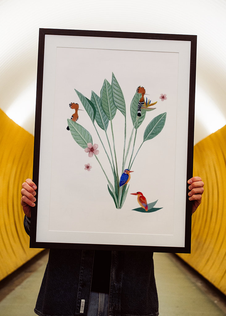 Jungle sjov af fugle