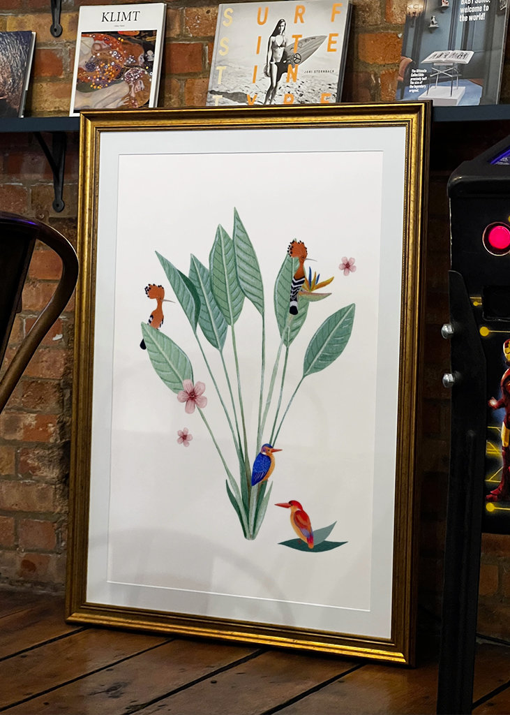 Jungle sjov af fugle