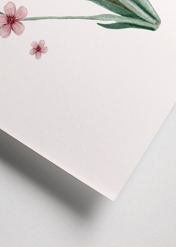 Jungle sjov af fugle