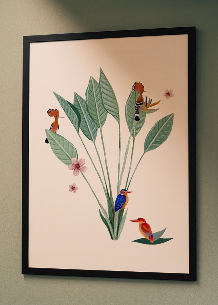 Jungle sjov af fugle