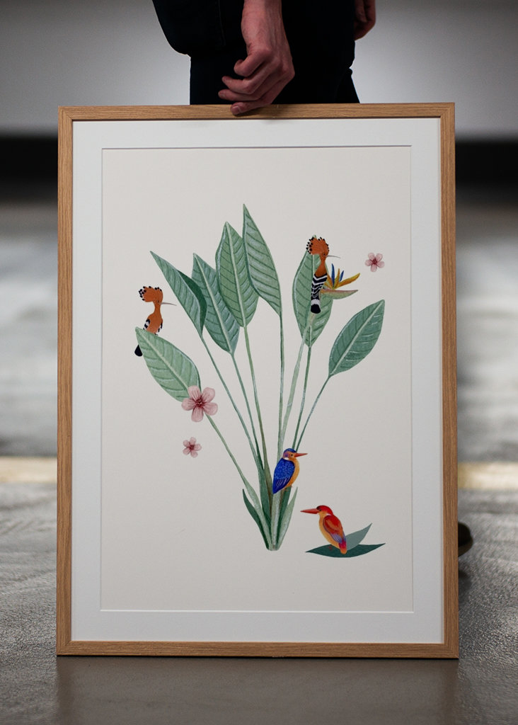 Jungle sjov af fugle