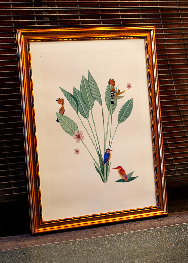 Jungle sjov af fugle