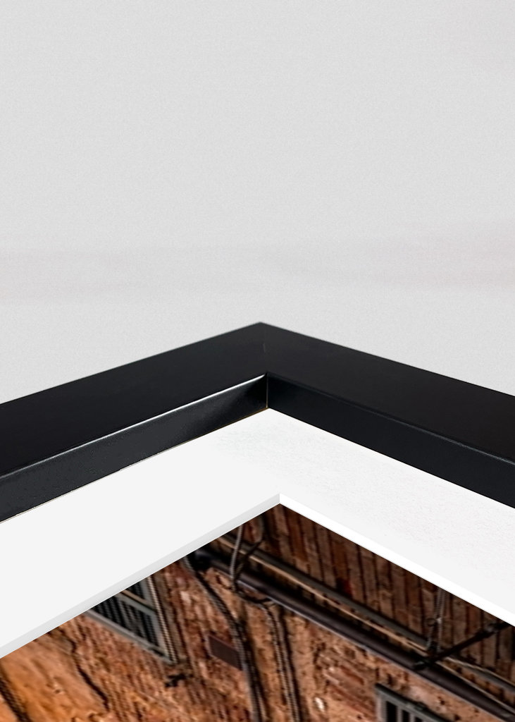 Streets of Siena (Italy)