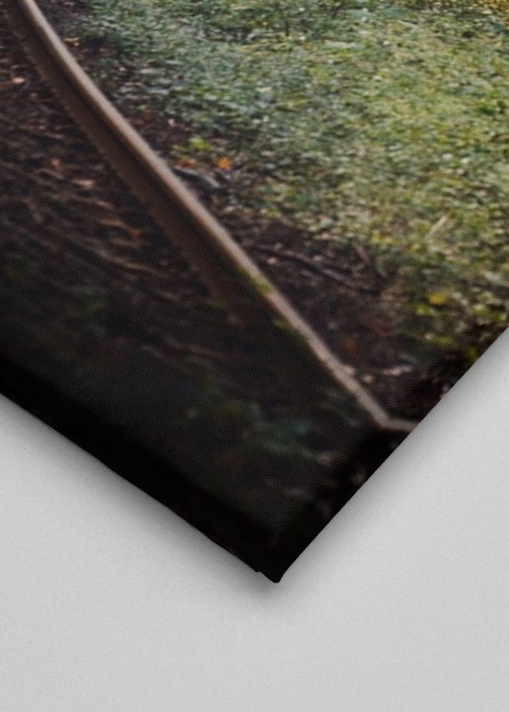 Paseo nostálgico en otoño