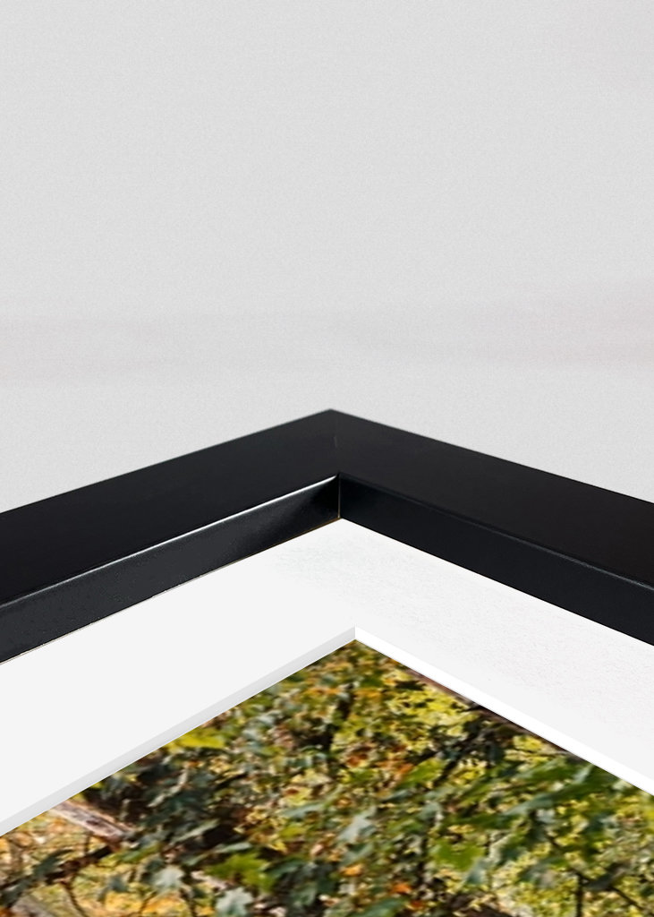 Paseo nostálgico en otoño