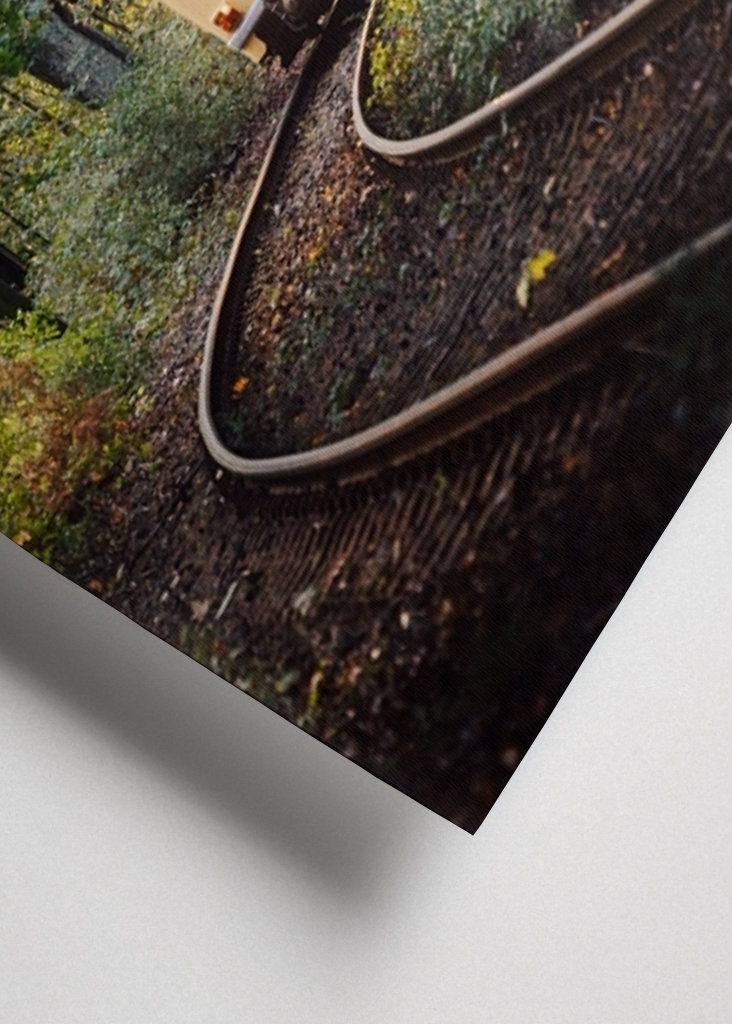 Paseo nostálgico en otoño