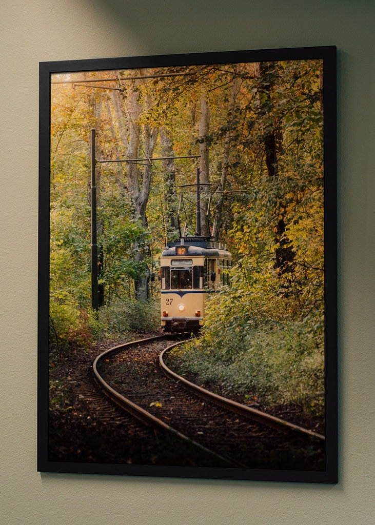 Paseo nostálgico en otoño