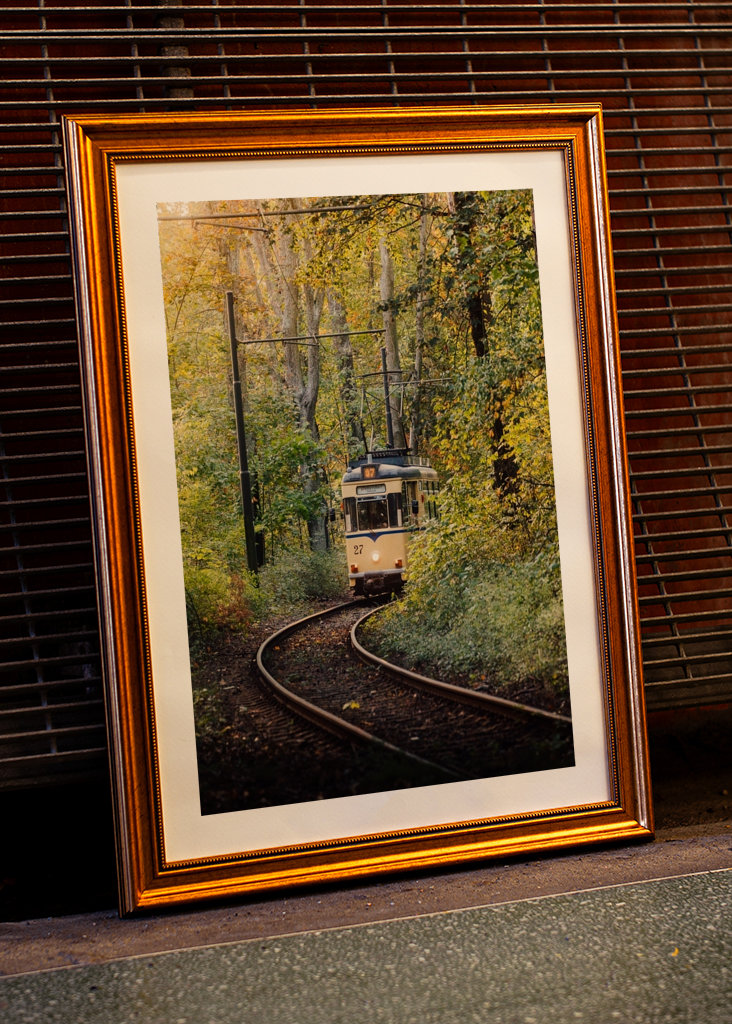 Paseo nostálgico en otoño