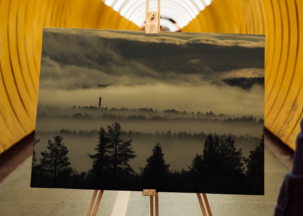 Stoupající ranní mlha.