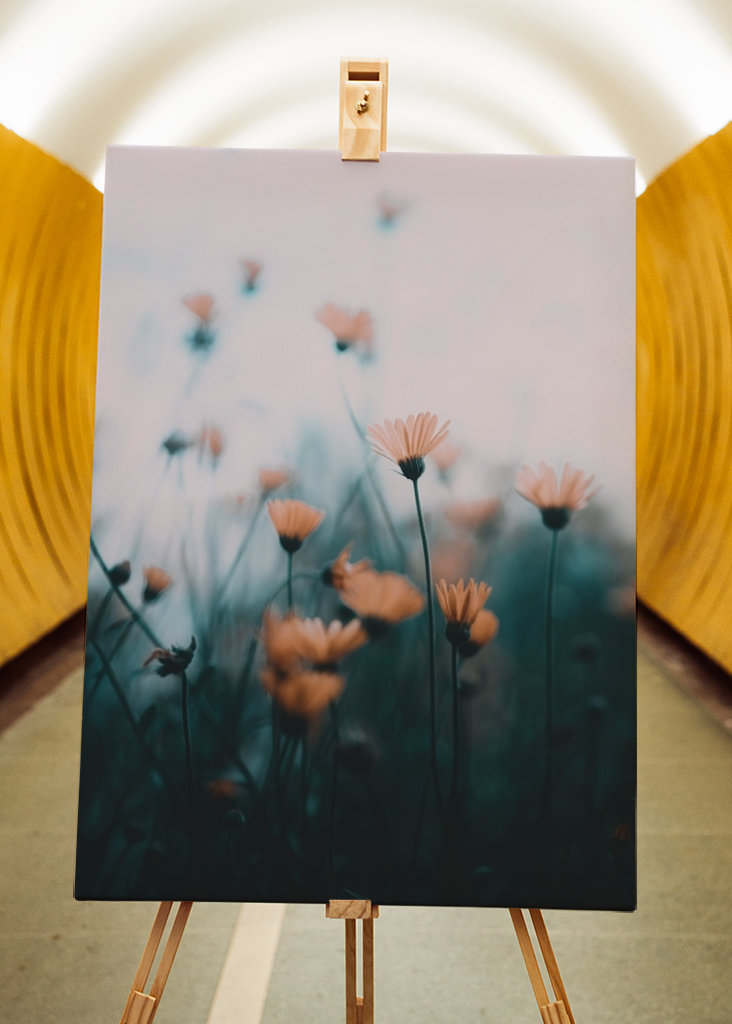 Zaostřené a rozmazané květiny