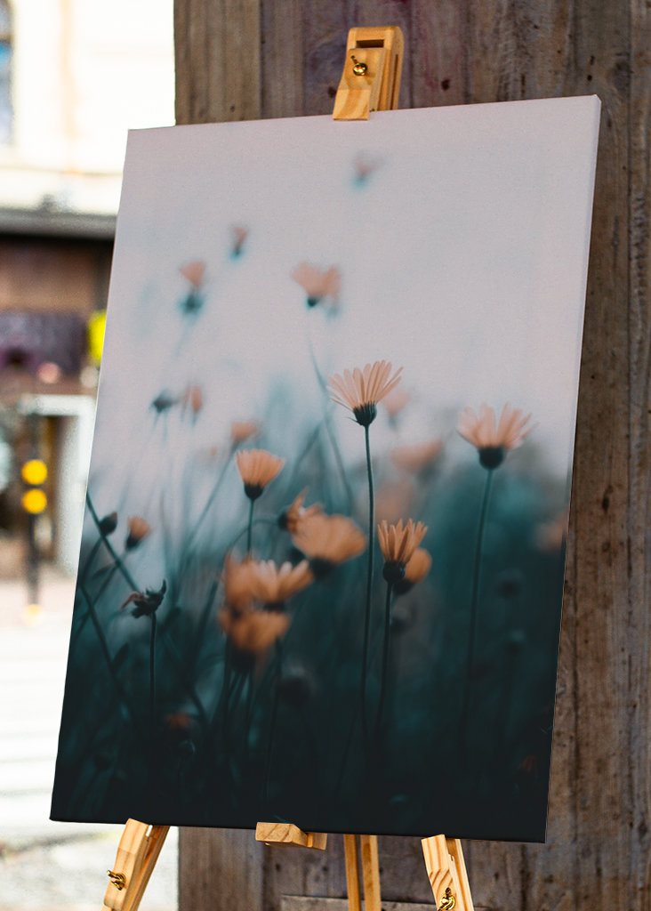 Zaostřené a rozmazané květiny