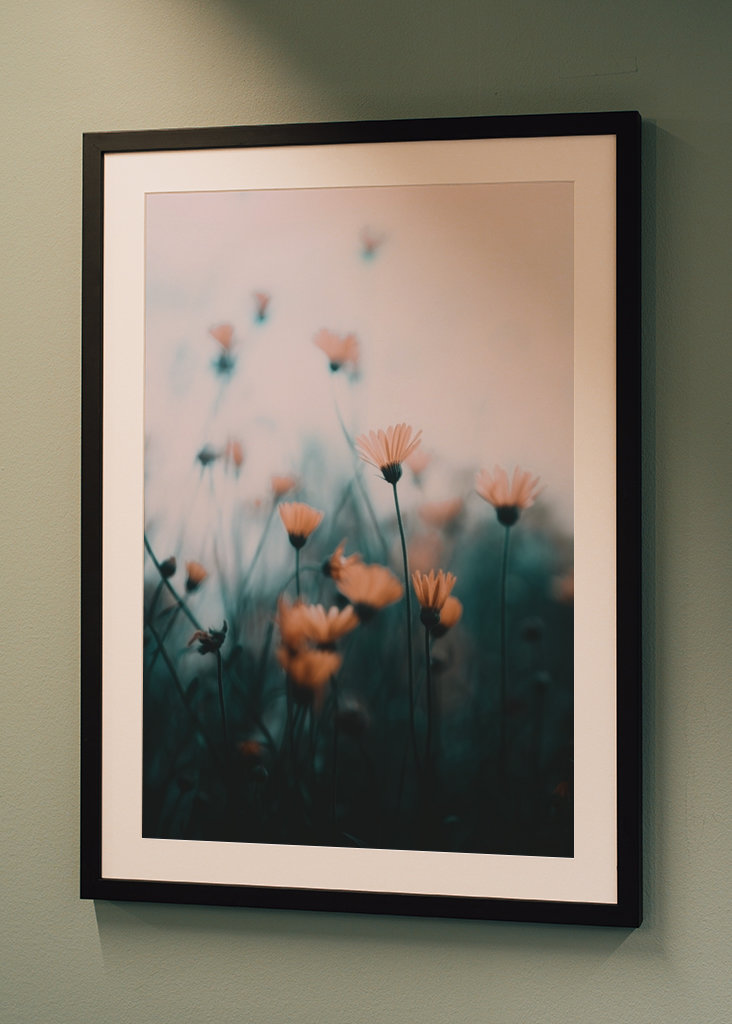 Zaostřené a rozmazané květiny