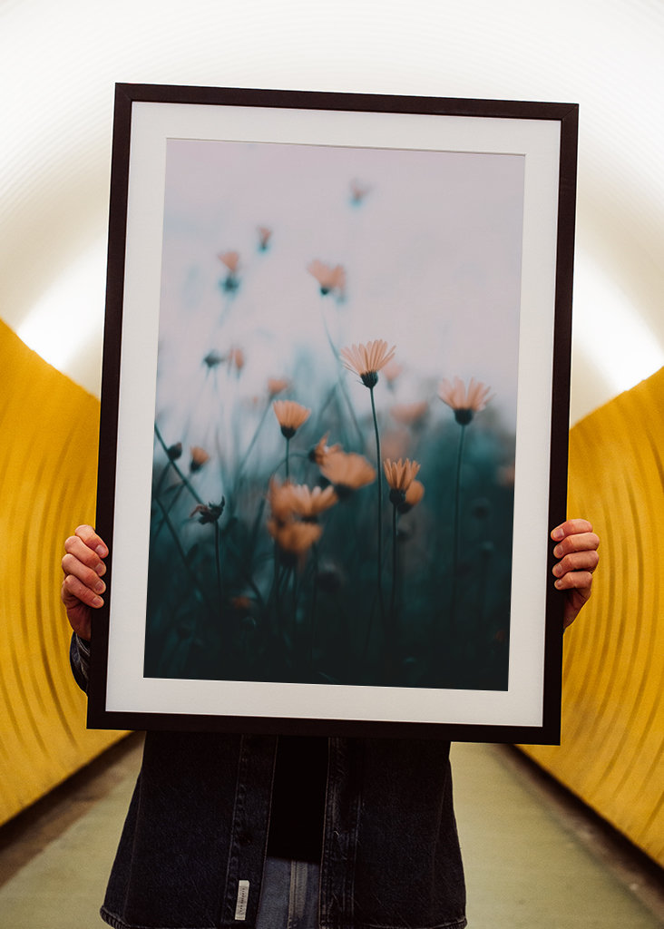 Zaostřené a rozmazané květiny