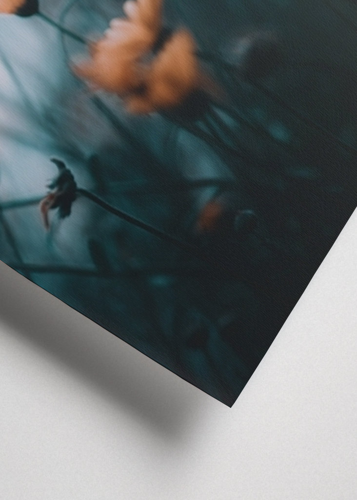 Zaostřené a rozmazané květiny