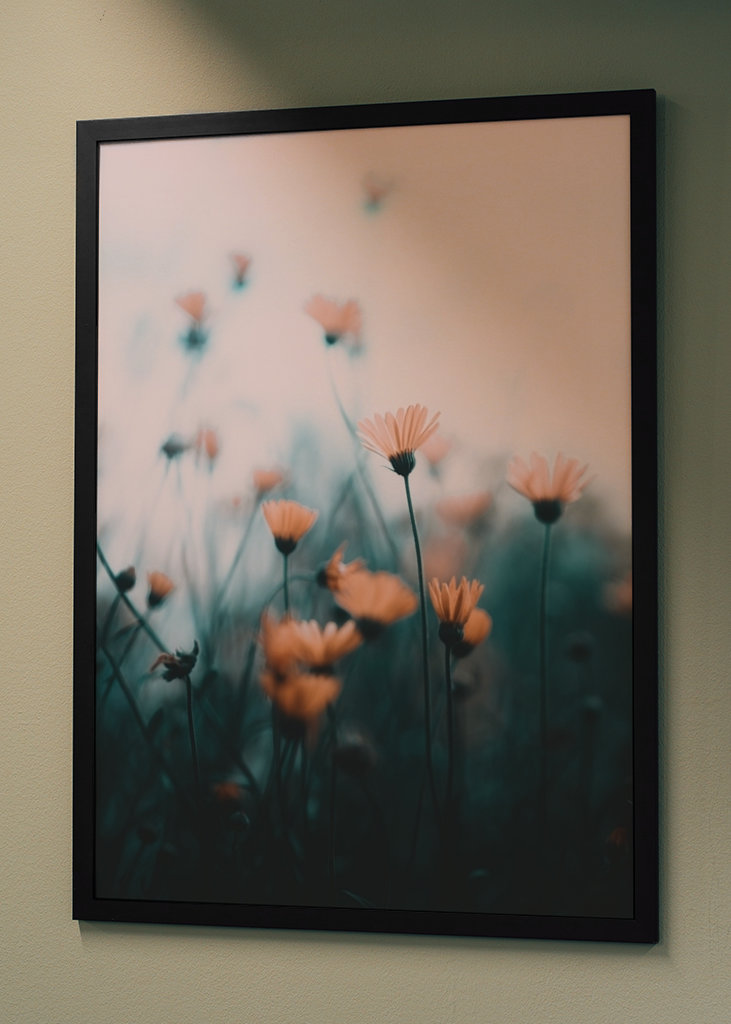 Zaostřené a rozmazané květiny