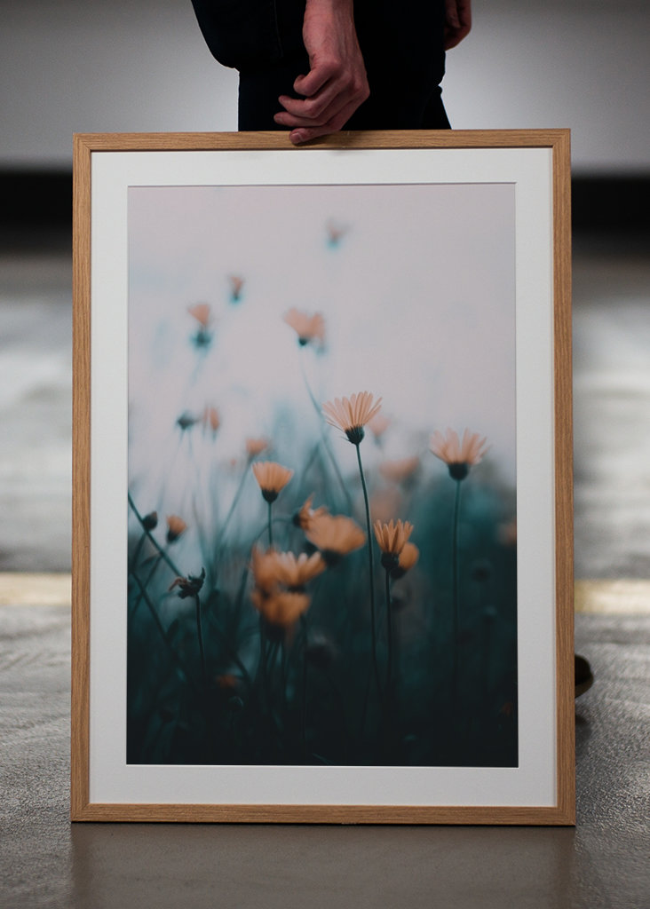 Zaostřené a rozmazané květiny