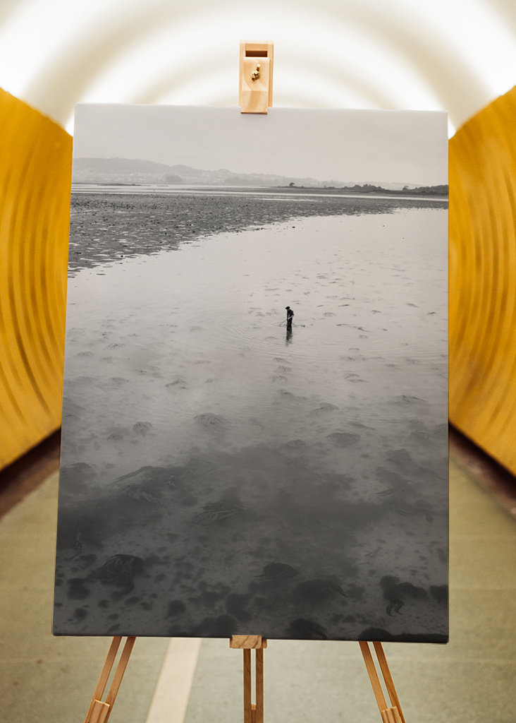 Říkají tomu svoboda