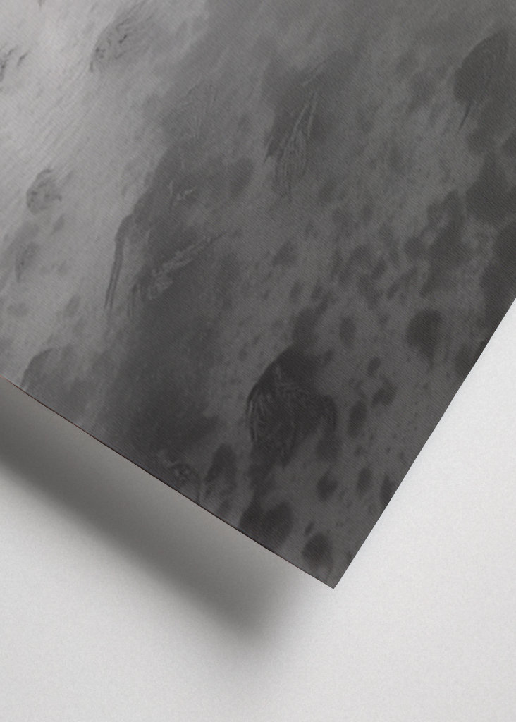 Říkají tomu svoboda