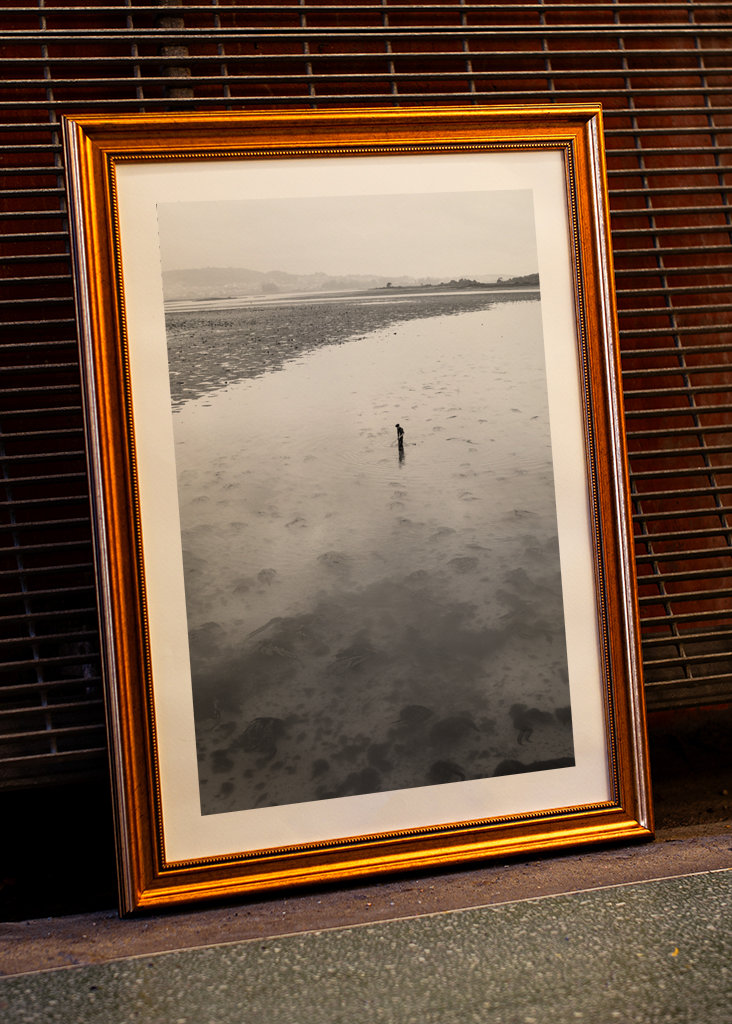 Říkají tomu svoboda