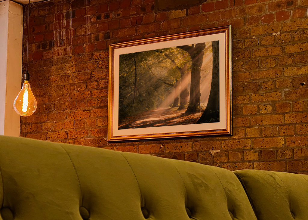 Morning mist in the forest