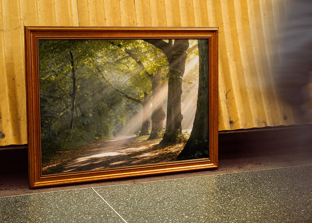 Morning mist in the forest