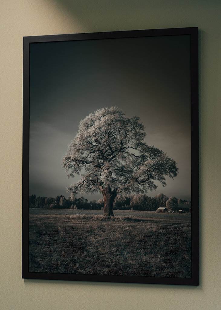 Frostiger Baum in der Ebene Poster von Bertil Jonsson | Printler