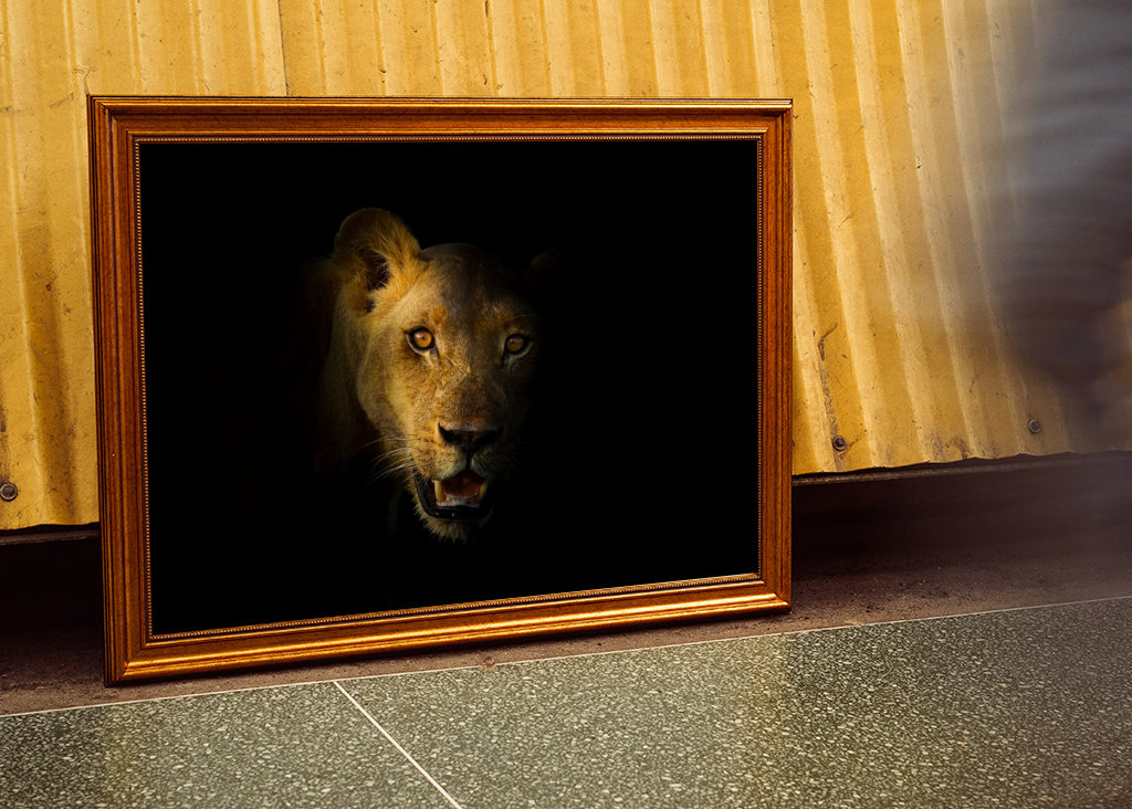 Löwe im Dunkeln