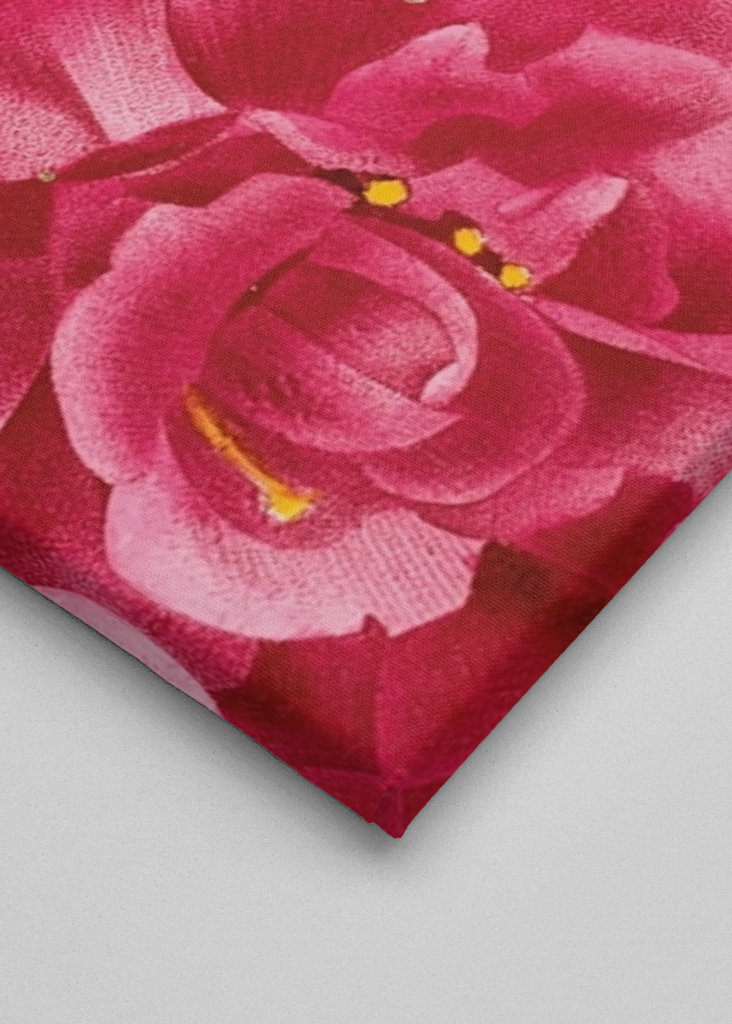 Madár a virágok között