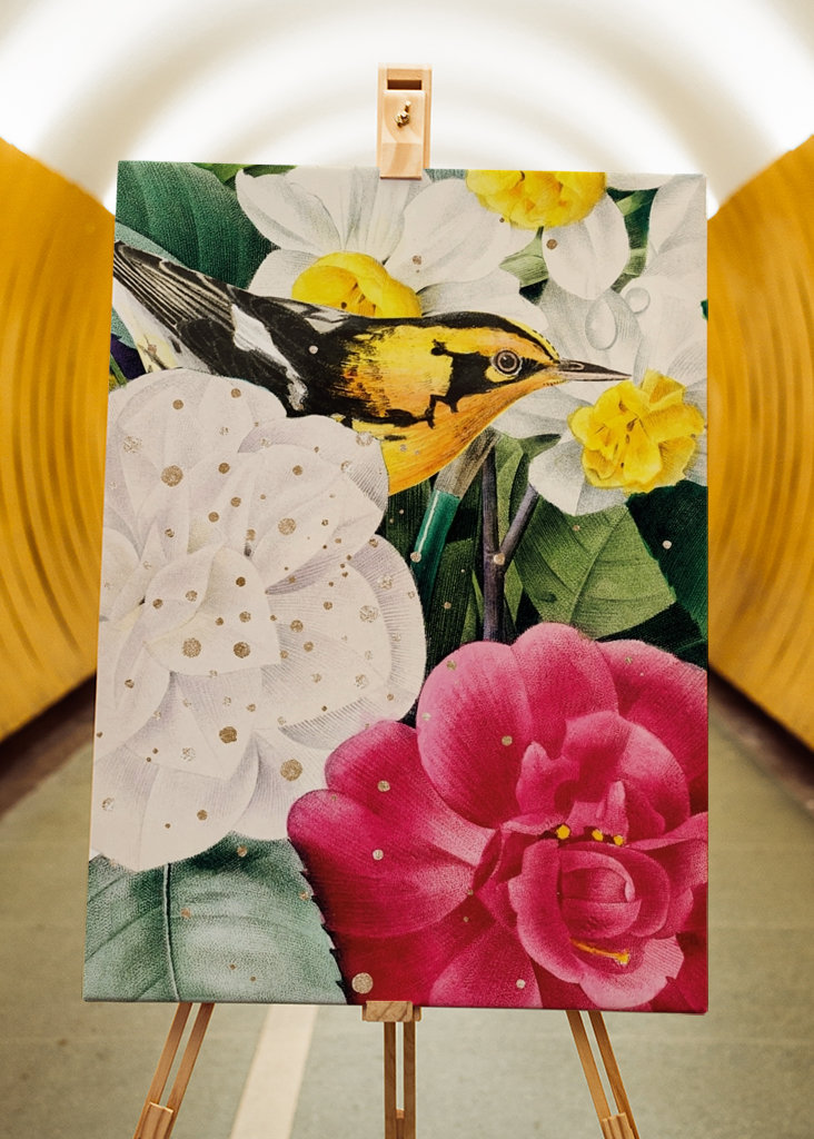 Madár a virágok között