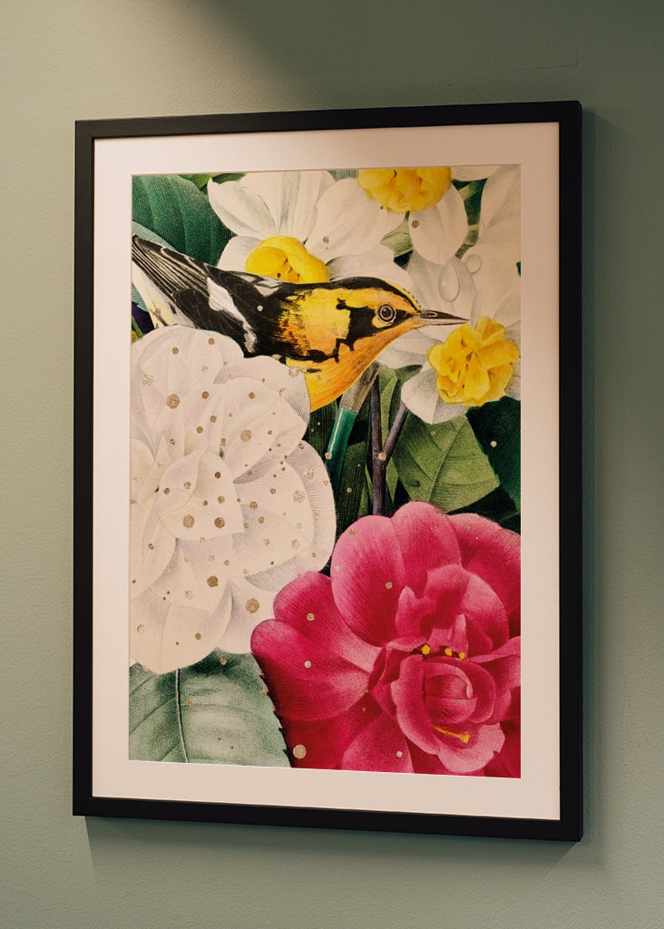 Madár a virágok között