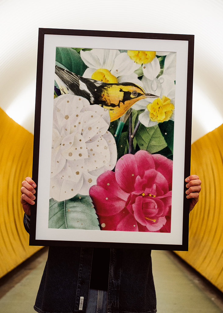 Madár a virágok között