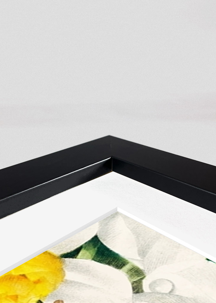 Madár a virágok között