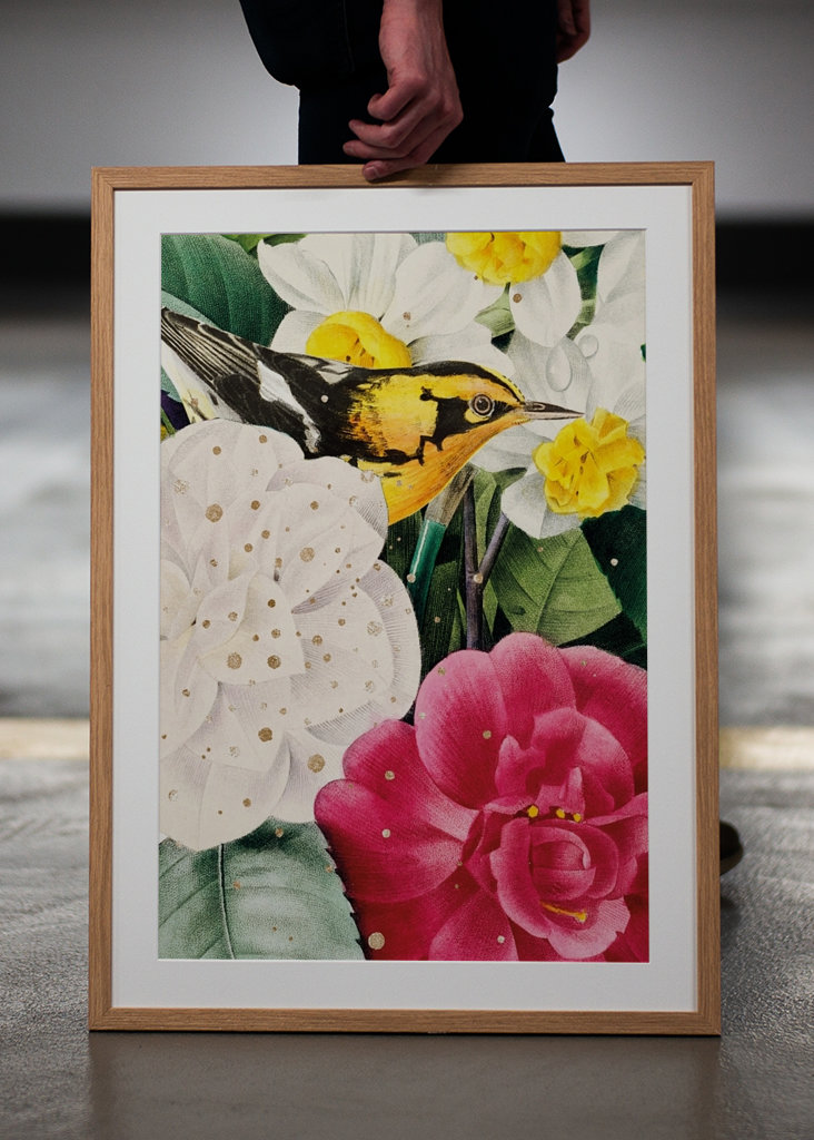 Madár a virágok között