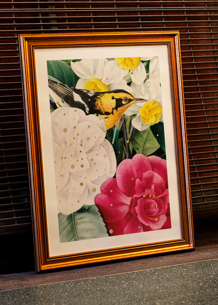 Madár a virágok között