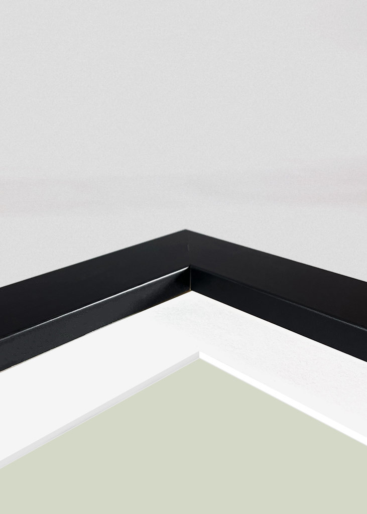 Flora & Fauna med Glanzvogel