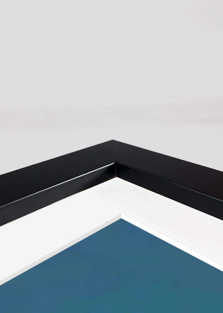 The Harlequin Dancer