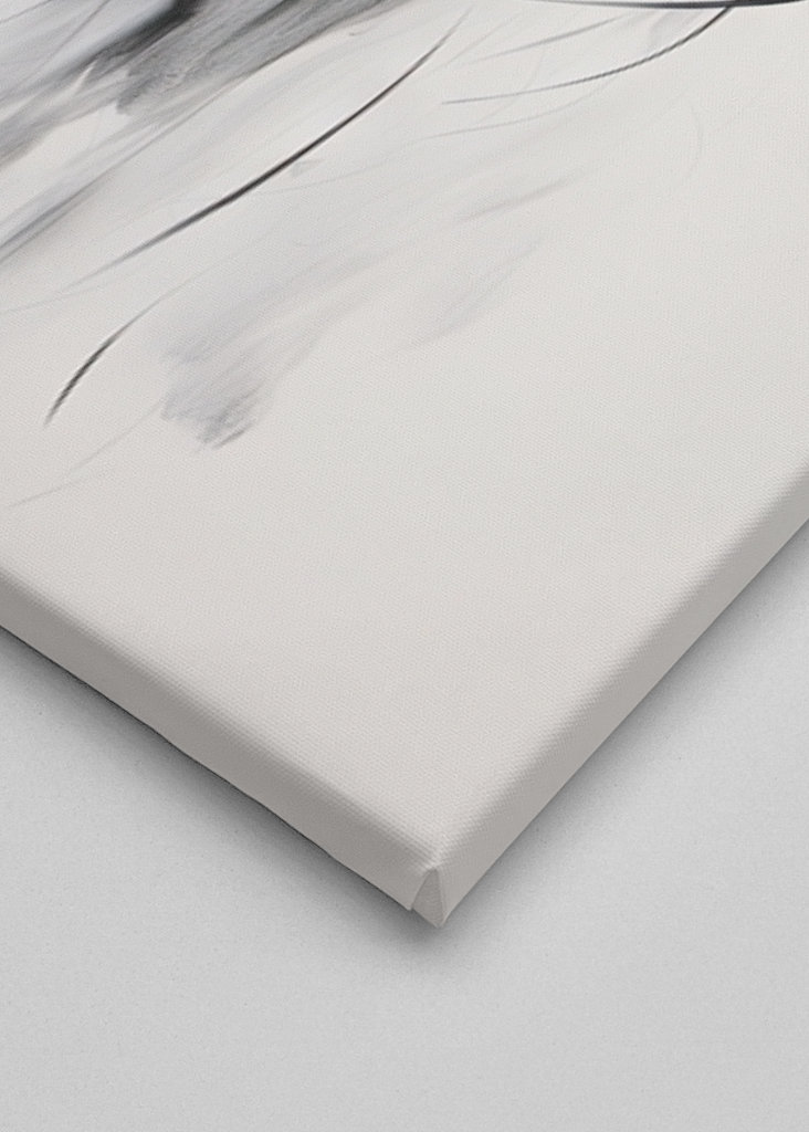 Minimalistyczna baletnica