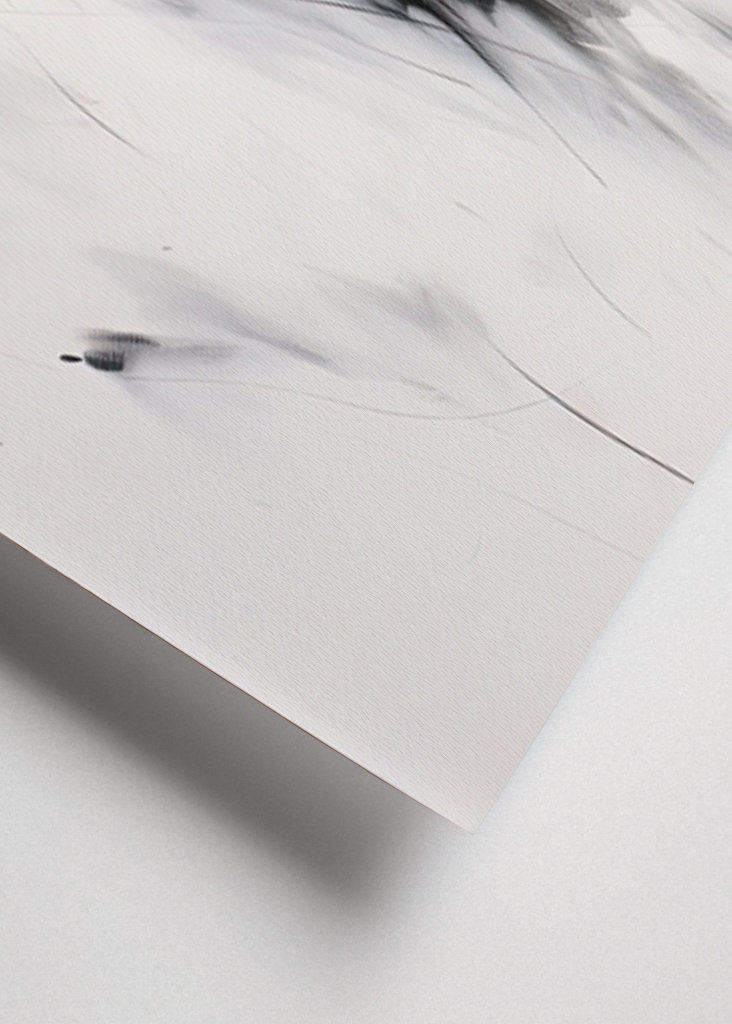 Minimalistyczna baletnica