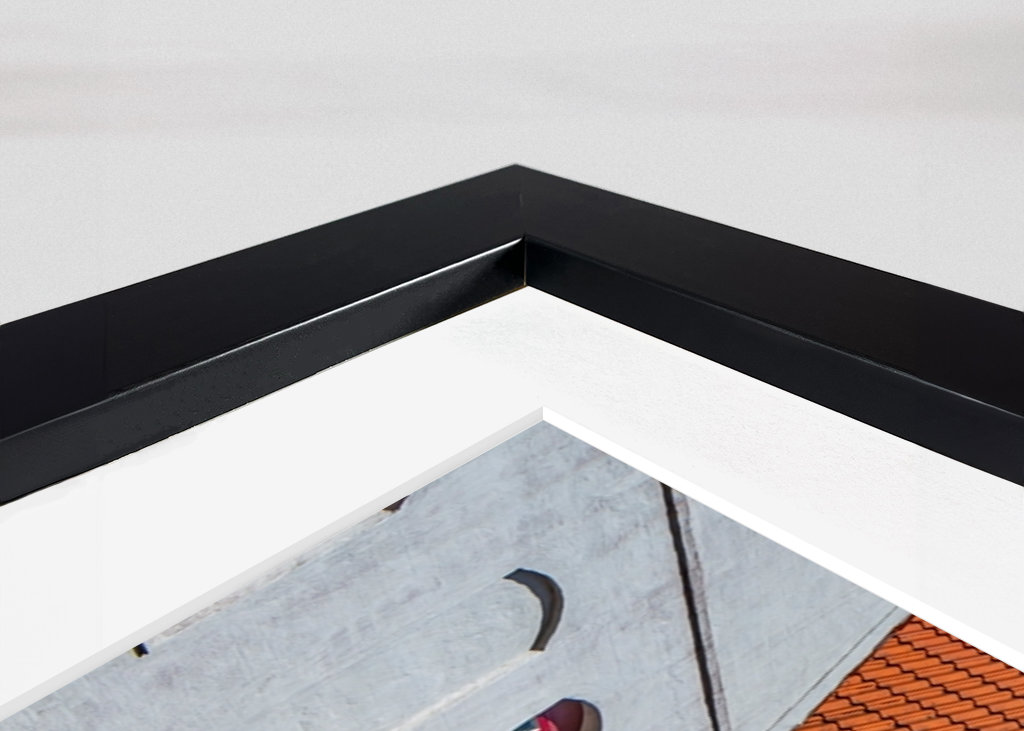 Jakriborg - Hansa inspiráció