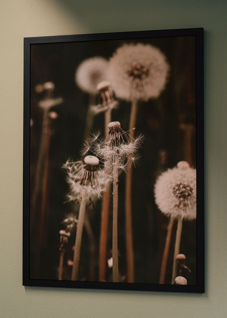 Dandelion