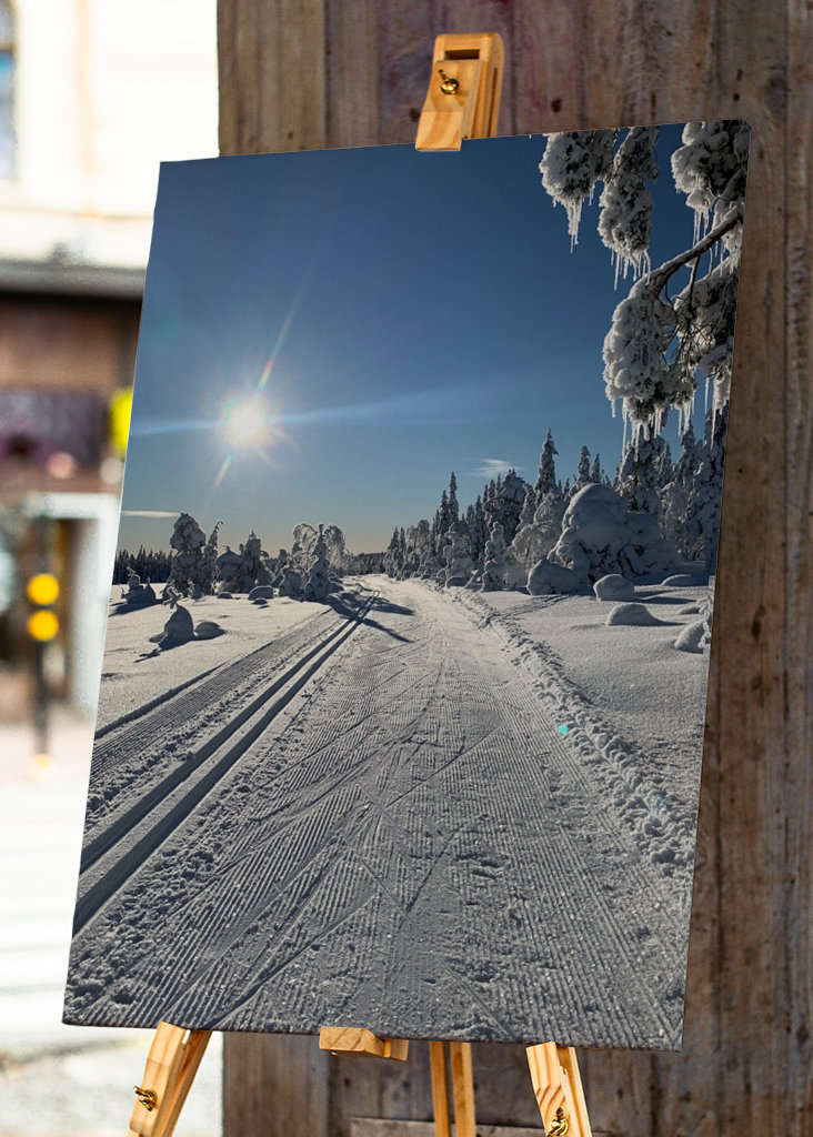 The perfect winter day