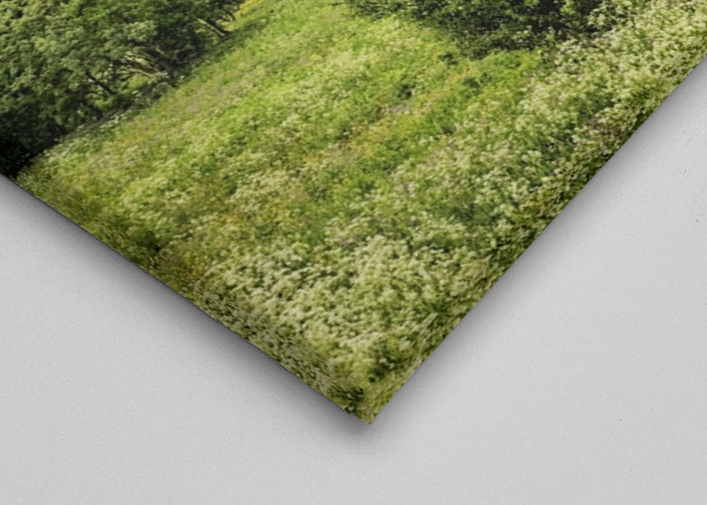 Summer on Lyngenfjord