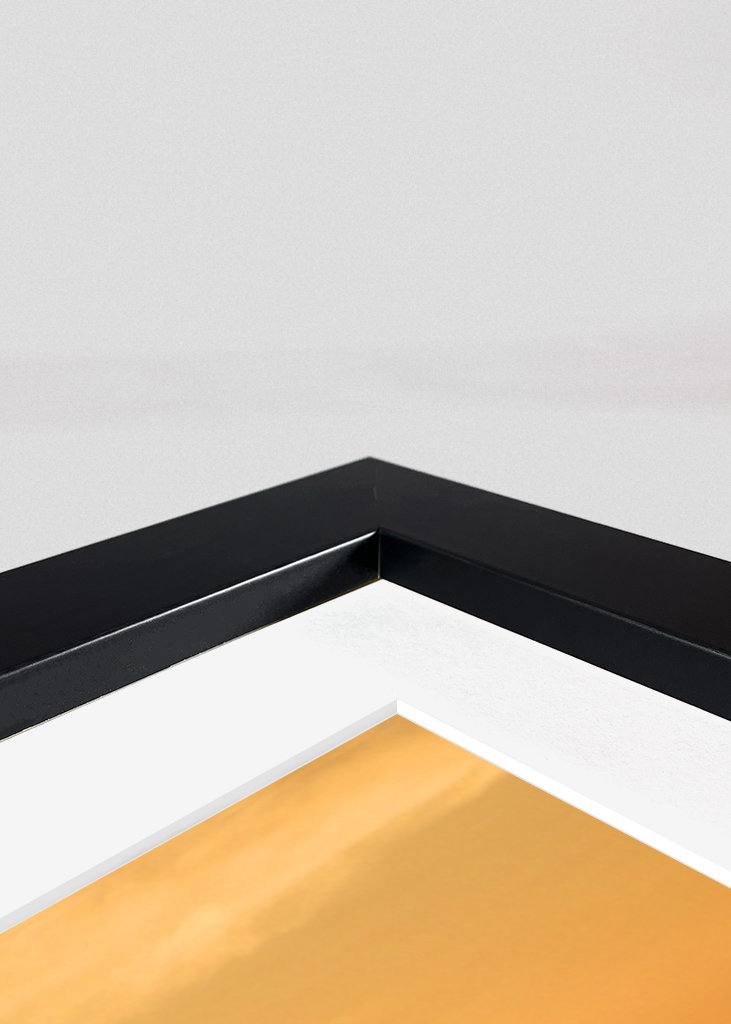 Yenidze Dresden sights sunset