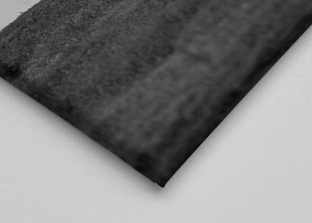 Black & White reindeer