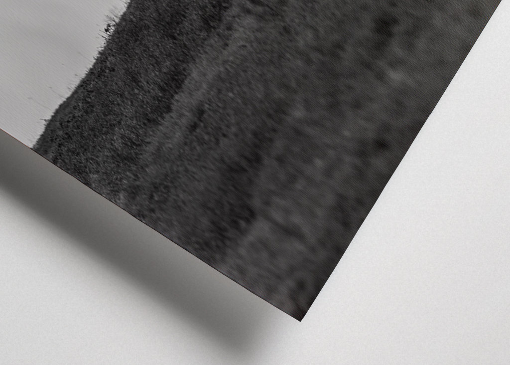 Black & White reindeer