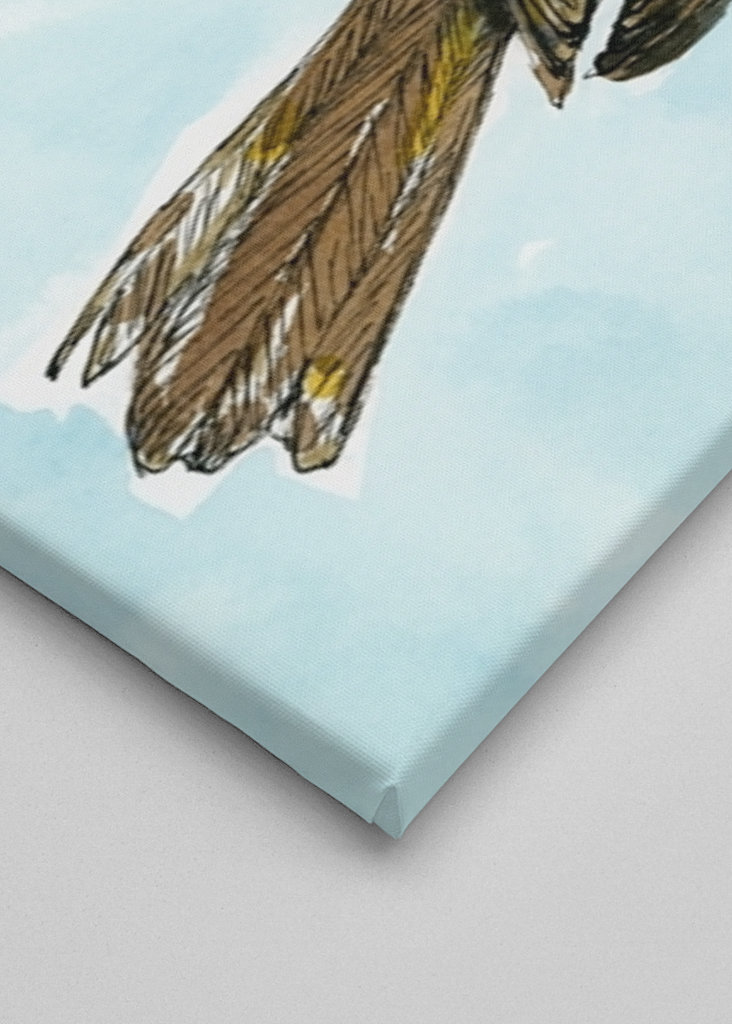 Disegno a inchiostro colorato del passero domestico