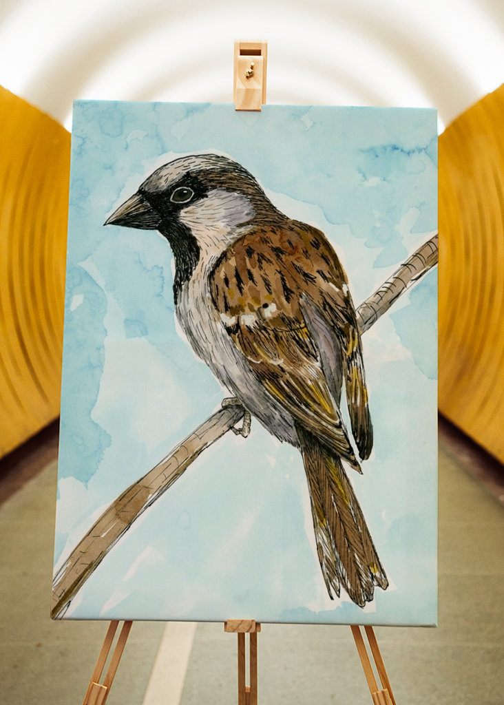 Disegno a inchiostro colorato del passero domestico