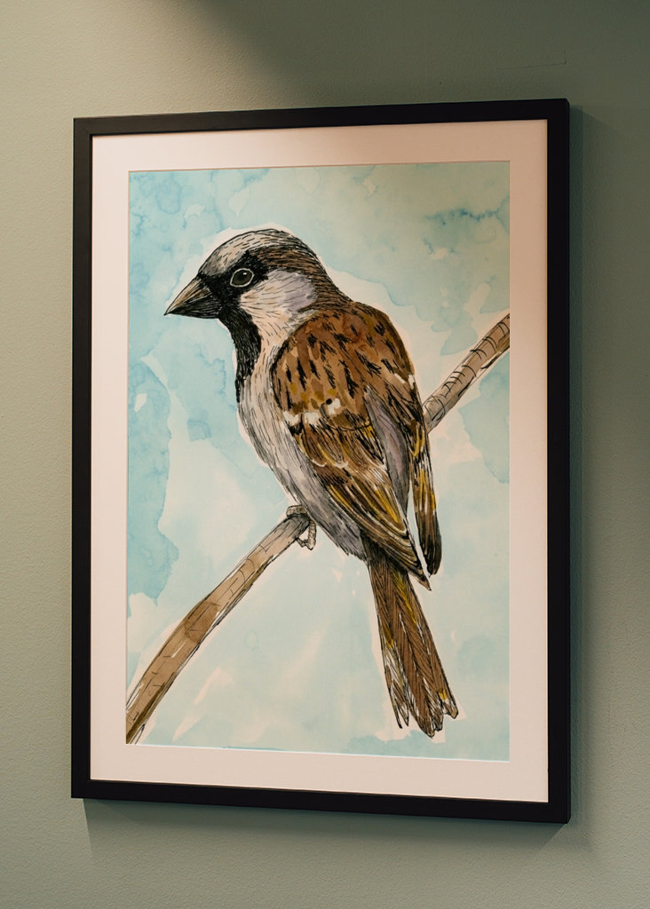 Disegno a inchiostro colorato del passero domestico